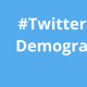 #Twitter User Demographics in 2011