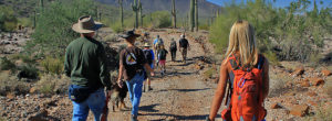 Friends of the Sonoran Desert National Monument Hiking Table Top Wilderness in the Sonoran Desert National Monument